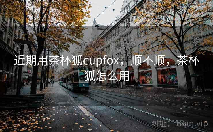 近期用茶杯狐cupfox，顺不顺，茶杯狐怎么用  第2张