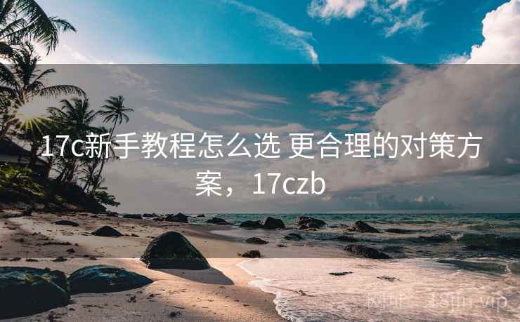 17c新手教程怎么选 更合理的对策方案，17czb