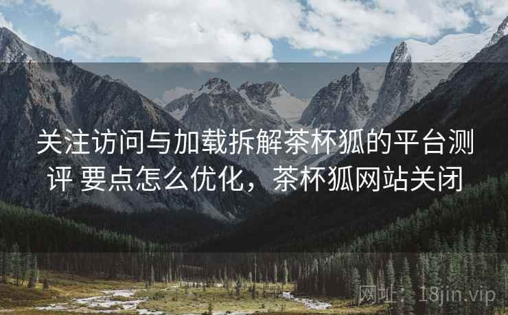 关注访问与加载拆解茶杯狐的平台测评 要点怎么优化,茶杯狐网站关闭