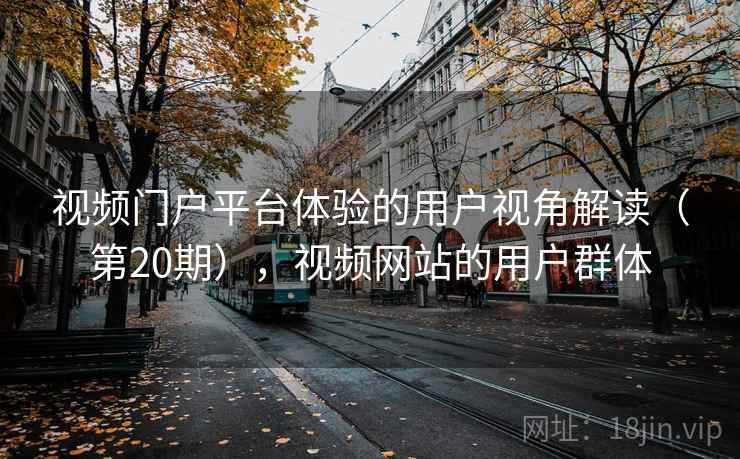 视频门户平台体验的用户视角解读(第20期),视频网站的用户群体