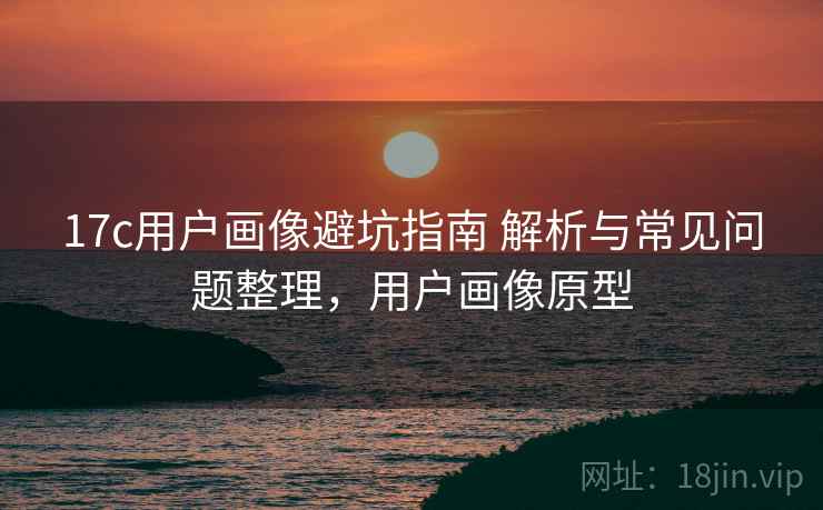 17c用户画像避坑指南 解析与常见问题整理,用户画像原型